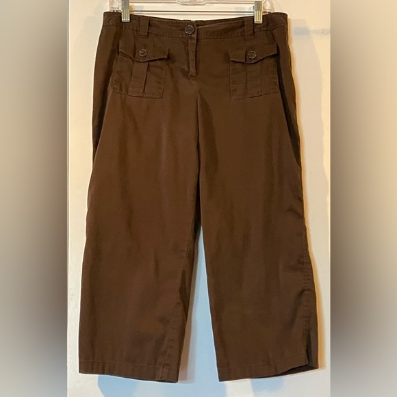 Ann Taylor Chocolate brown low waist capri pants petite size 10 - Picture 1 of 7